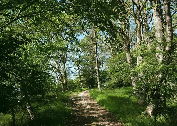 Rural Oasis In Scenic Surroundings בית נופש Jyderup